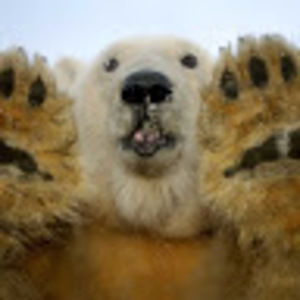 Meet your Posher, Isela